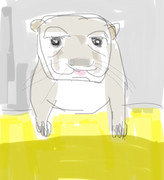 カワウソ
