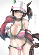 アイネスフウジン　水着