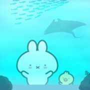 お魚さんいっぱい