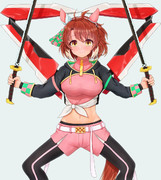 アストレイダンツフレーム改