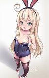 アルバコアバニー