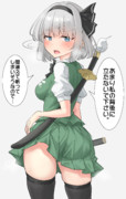 本当は見られてると修行に集中できない妖夢ちゃん