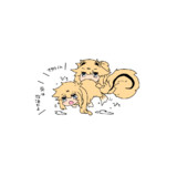 ﾆﾎﾝｶｽｶﾍﾞｼﾏﾘｽ＆ﾆﾎﾝｶｽｶﾍﾞｵｻｶﾅ