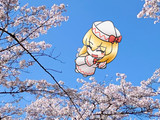 春