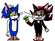 トムソニックとシャドウブッチ