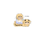 ﾆﾎﾝｶｽｶﾍﾞｵｻｶﾅとﾆﾎﾝｶｽｶﾍﾞｼﾏﾘｽ　ﾄﾓﾀﾞﾁ