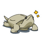 イラストっぽいクサガメ