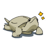 イラストっぽいクサガメ