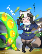 ずんだぬき