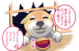 いっぬ「わぉぉぉう～ファンタスティック！！！！」