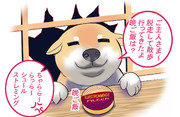 いっぬ「わぉぉぉう～ファンタスティック！！！！」