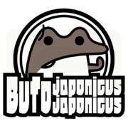 ニホンヒキガエル