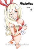 Richelieu（1ﾄﾞﾛｵｰﾊﾞｰ20250426）