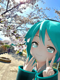 鶏天家のVOCALOID達とお花見✨ その①✨