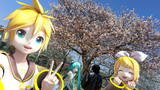 鶏天家のVOCALOID達とお花見✨ その②✨