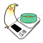 ご飯は適量！
