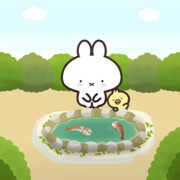 鯉の日だよ