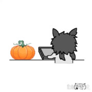 カボチャの異変に気づく前のやりとり