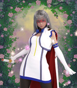 謎のお嬢様仮面