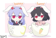 ふもうどんげ＆てゐINマグカップ
