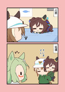 せんきょ