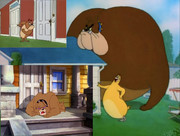 太りっこ競争キングサイズカナリアに出てくる茶色ブルドッグ tex avery atom