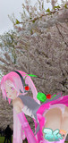 桜の木の下で戯れる