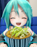 今日のミクご飯「ネギ盛りカレーうどん」