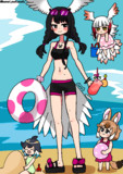 海のクロトキちゃんとトキちゃんとドルちゃとマイルカちゃん