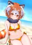 金ビキニレッパンちゃん