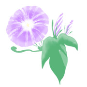 【素材】朝顔・紫・透過素材【フリー素材処くらげや】