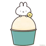 アイスクリームの日だよ