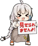 見せられませんよっ！