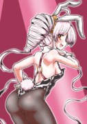 今日のバニーガール