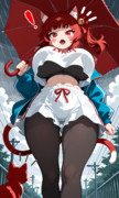赤猫
