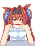 ｽｶｰﾚｯﾄ