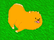 草原と走る犬