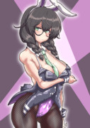 今日のバニーガール