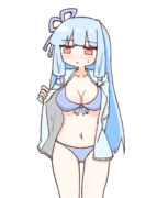 琴葉さん