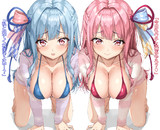 パジャマ葵＆茜ちゃん 水着バージョン