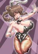 今日のバニーガール