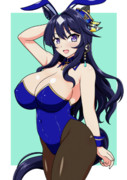 バニーヴィルシーナ