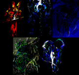 【アーカイブ】Gallery IYN「 情緒展 vol.5」