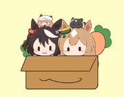 はこ
