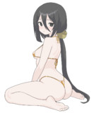 ゴールデンMBうさぎちゃん
