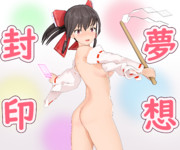 力を解放し過ぎた霊夢さん3