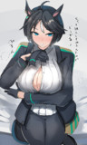 フジキセキ 扉 狭め