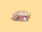 ダンボール