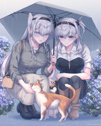 「猫は可愛くて癒されるな、涼」「そうですね、お冬さん」