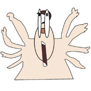 かんたんポッケ